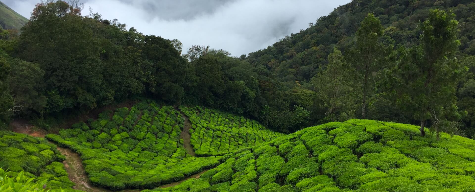 Kumana National Park - Sri Lanka