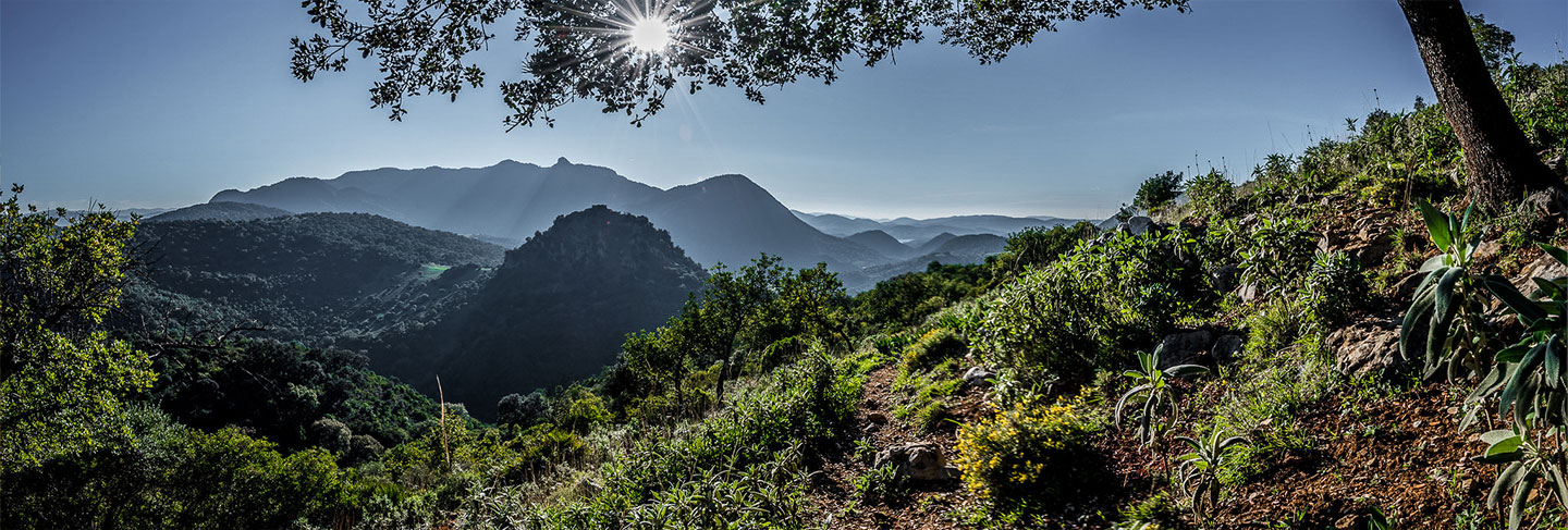 The must-sees of Andalusia - Andalusia