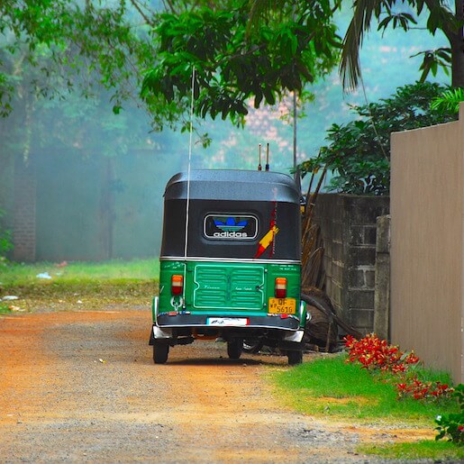 Discover tea plantations by tuk tuk