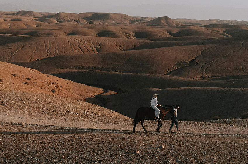 Marrakech horse riding: One of the best things to do in Morocco