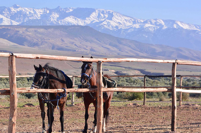 Places to ride a horse in Marrakech