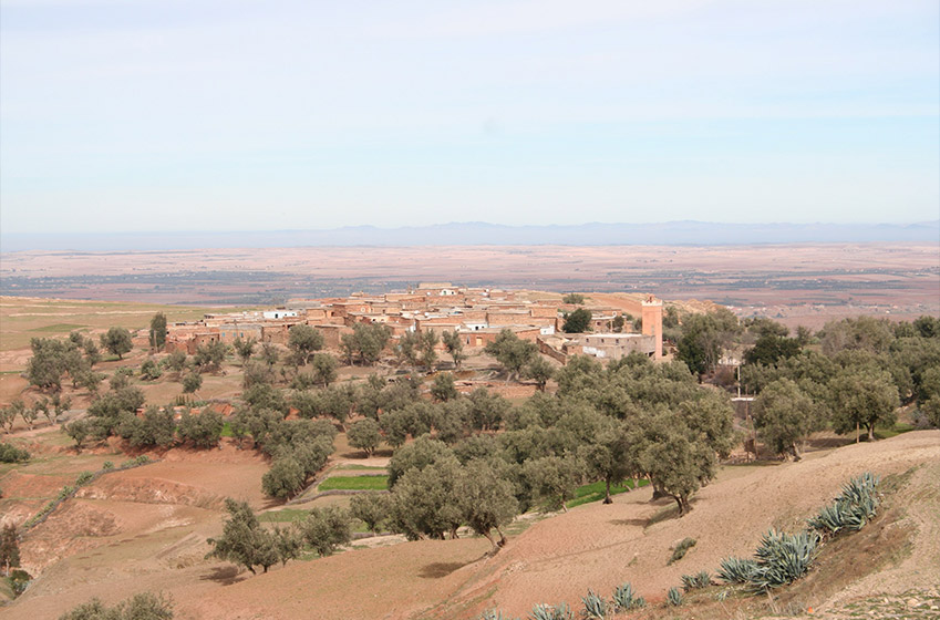 The best horseback riding journeys near Marrakech