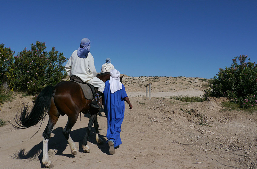 Tips for a successful horse riding excursion