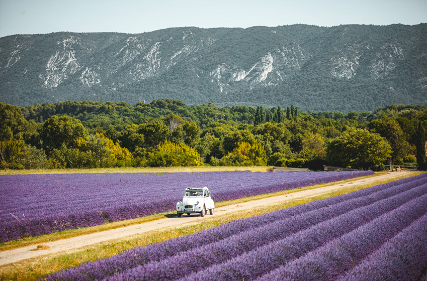 An insider guide to discover the best things to do in Provence, France